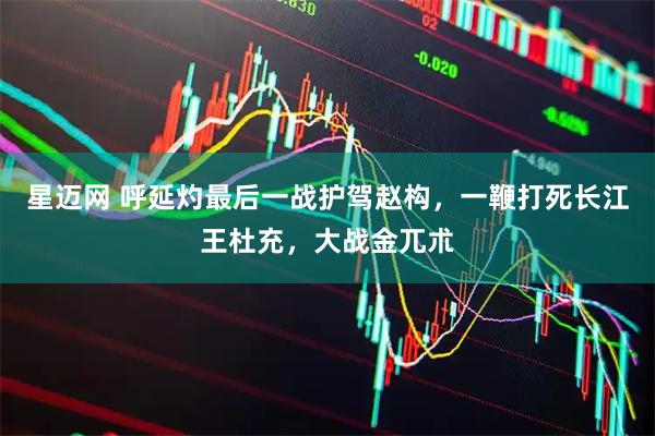 星迈网 呼延灼最后一战护驾赵构，一鞭打死长江王杜充，大战金兀朮