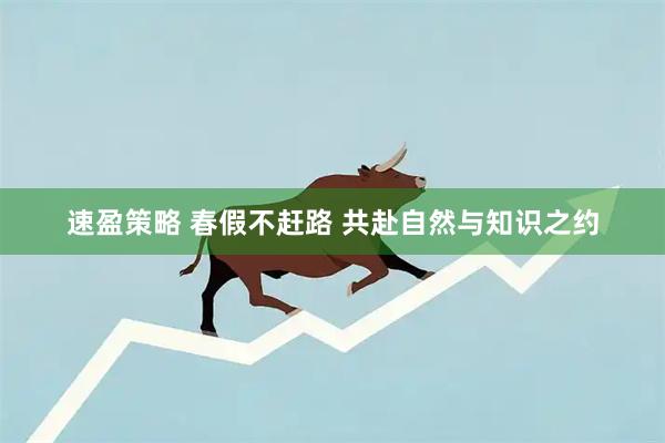 速盈策略 春假不赶路 共赴自然与知识之约