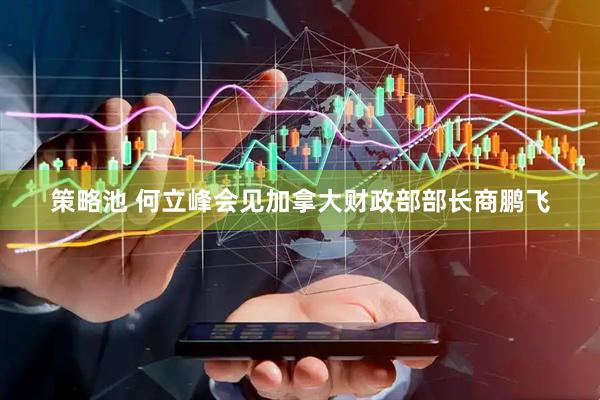 策略池 何立峰会见加拿大财政部部长商鹏飞