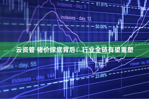 云资管 猪价探底背后：行业全链有望重塑