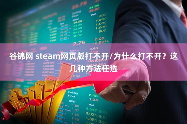 谷锦网 steam网页版打不开/为什么打不开？这几种方法任选