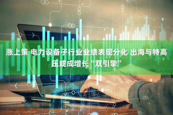涨上策 电力设备子行业业绩表现分化 出海与特高压或成增长“双引擎”
