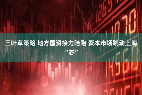三叶草策略 地方国资接力陪跑 资本市场跳动上海“芯”