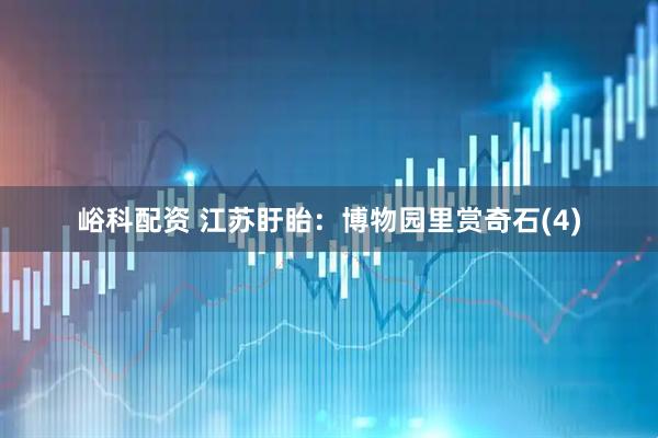 峪科配资 江苏盱眙：博物园里赏奇石(4)