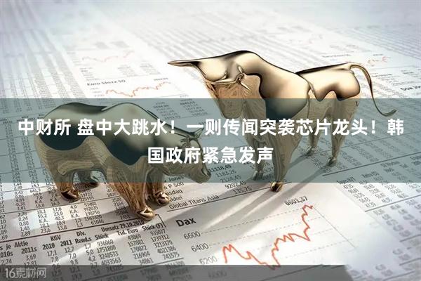 中财所 盘中大跳水！一则传闻突袭芯片龙头！韩国政府紧急发声