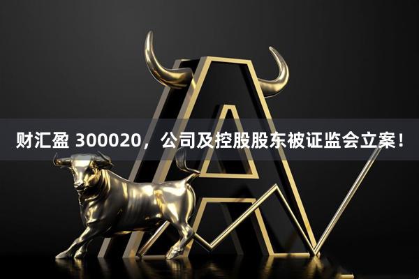 财汇盈 300020，公司及控股股东被证监会立案！