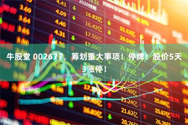 牛股堂 002677，筹划重大事项！停牌！股价5天3涨停！